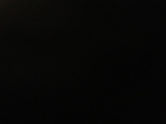 Meet your Posher, Tatum - Picture 1 of 1